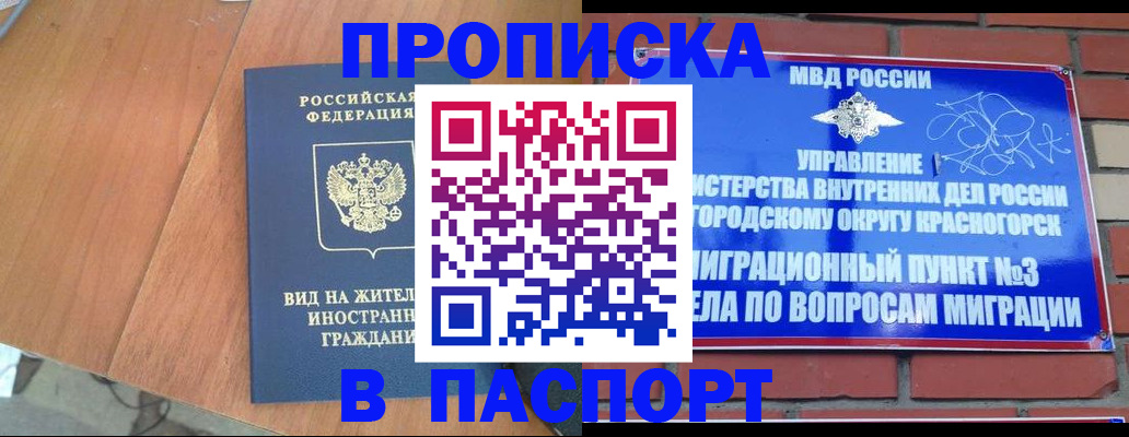найти адрес прописки в Зарайске